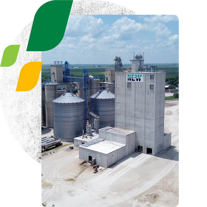 Description of image